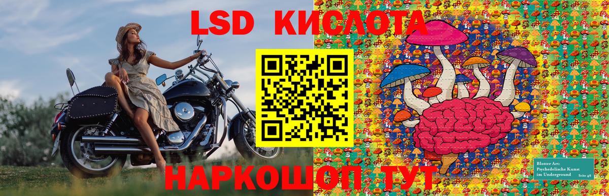 Наркотические марки 1500мкг Вологда