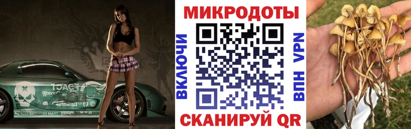 наркотики  Вологда  маркетплейс официальный сайт  Галлюциногенные грибы Psilocybe 