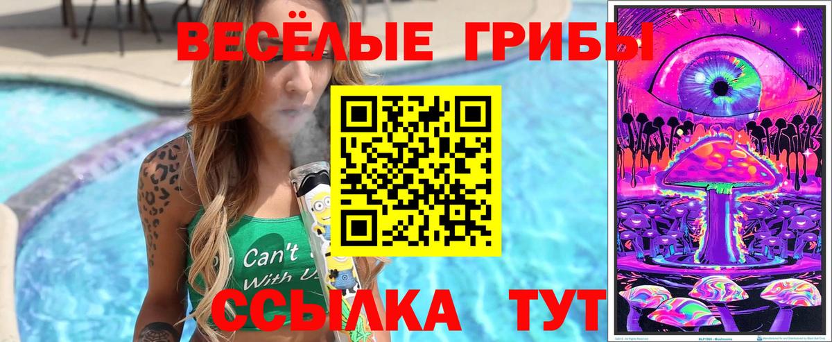 Галлюциногенные грибы Psilocybine cubensis Вологда