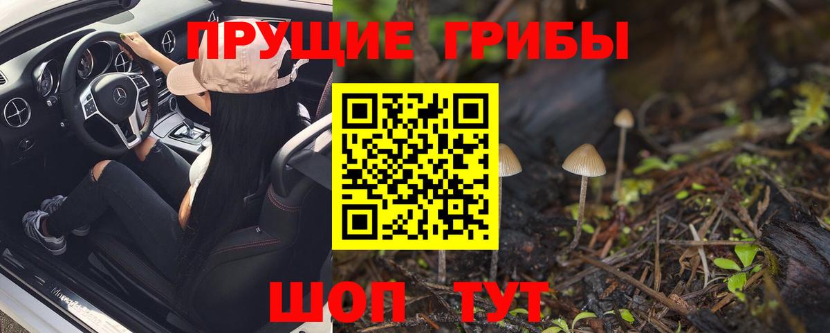 Псилоцибиновые грибы Cubensis  Псилоцибиновые грибы мухоморы  Вологда  Вход с VPN 